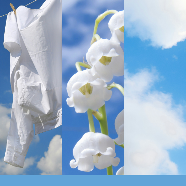 Clean Cotton Yankee Candle 2D Scented Hanging Air Freshener