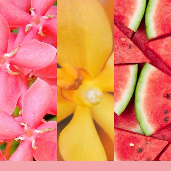 Pink Sands Yankee Candle 2D Scented Hanging Air Freshener