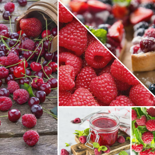 Red Raspberry Yankee Candle ScentPlug Refills (Pack Of 2)