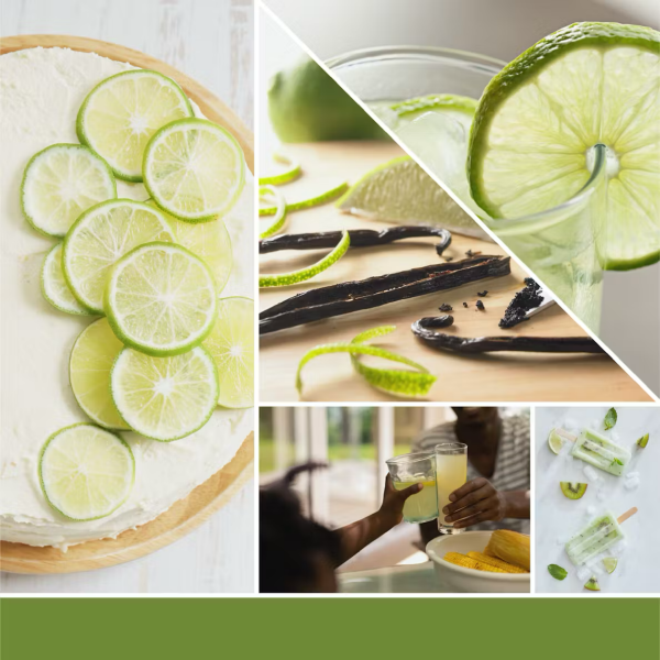 Vanilla Lime Yankee Candle ScentPlug Refills (Pack Of 2)