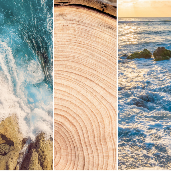 Amber & Sandalwood Yankee Candle 2D Scented Hanging Air Freshener