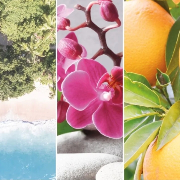 Wild Orchid Yankee Candle 2D Scented Hanging Air Freshener