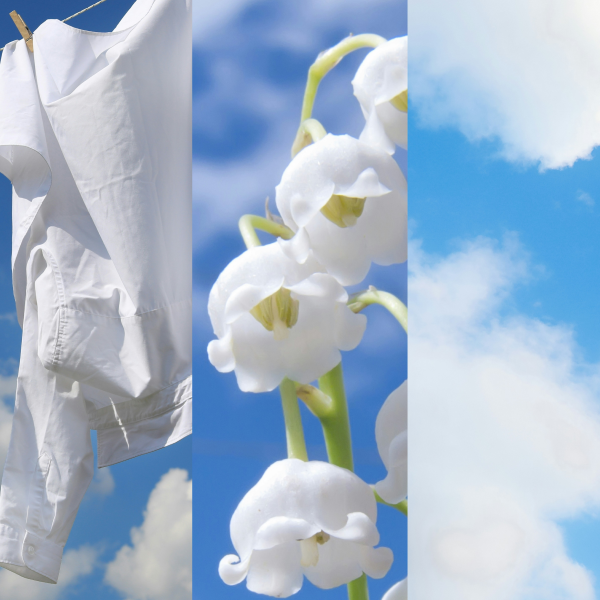 Clean Cotton Yankee Candle ScentPlug Refills (Pack Of 2)