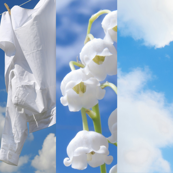 Clean Cotton Yankee Candle ScentPlug Starter Kit (Plug & Refill)