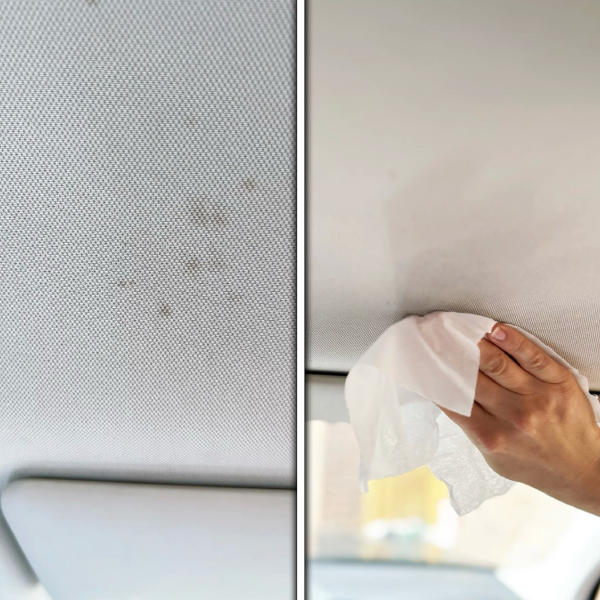 Turtle Wax Interior 1 - Multi-Purpose Wipes For Car Interior Fabrics