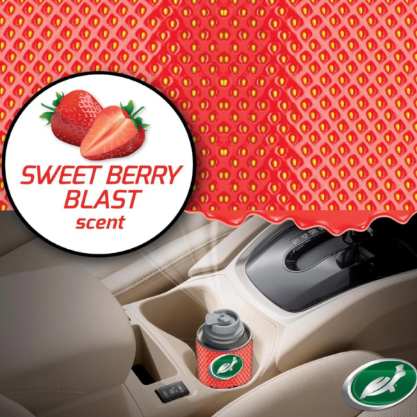 Turtle Wax Sweet Berry Odor-X Whole Car Blast (100ml)