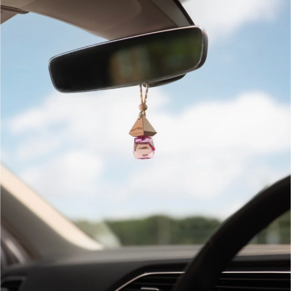 Winter Angel Carfume Car Air Freshener Diffuser