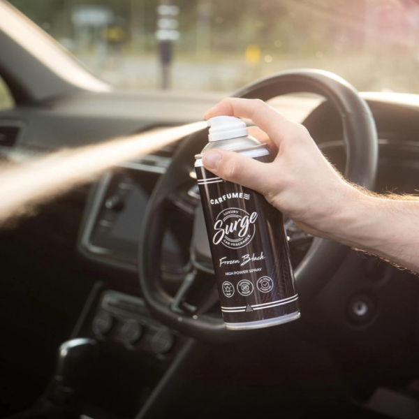 Frozen Black Scented Carfume Air Freshener - Surge Can