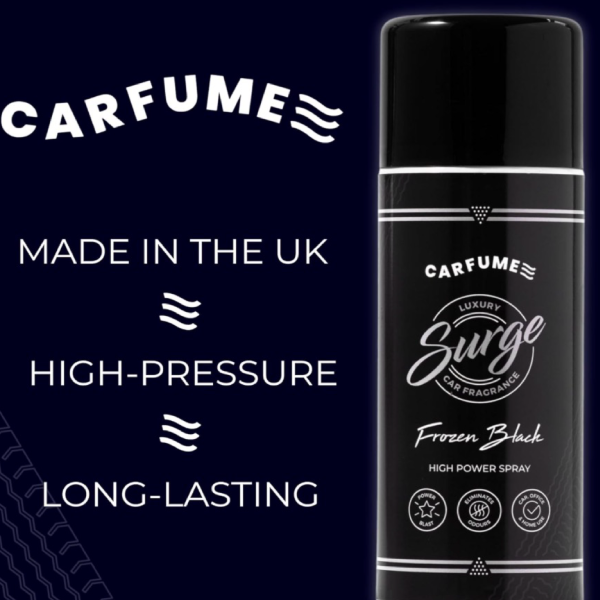 Frozen Black Scented Carfume Air Freshener - Surge Can