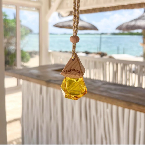 Brazilian Summer Carfume Car Air Freshener Diffuser