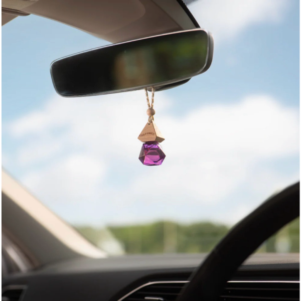 Alien Spirit Carfume Car Air Freshener Diffuser