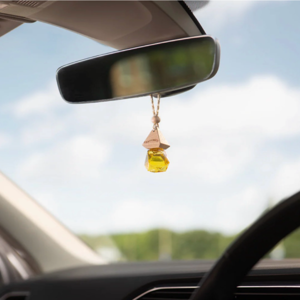 Tropical Mango Carfume Car Air Freshener Diffuser
