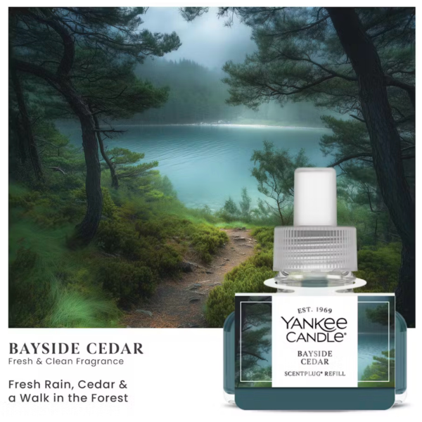 Bayside Cedar Yankee Candle ScentPlug Refills (Pack Of 2)