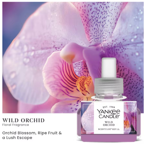 Wild Orchid Yankee Candle ScentPlug Refills (Pack Of 2)