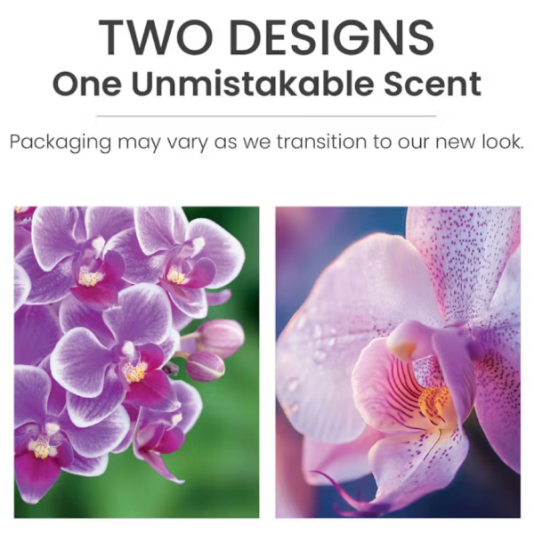 Wild Orchid Yankee Candle ScentPlug Refills (Pack Of 2)